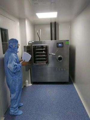 Secador De Congelamento De Laboratório Para A Vacina